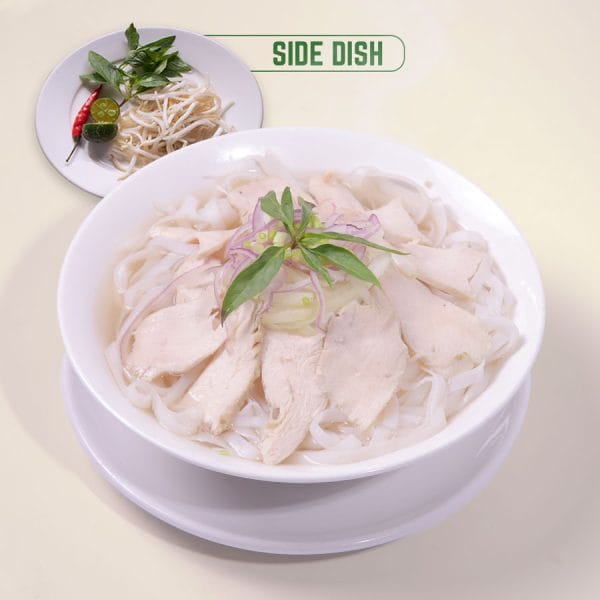 Chicken Noodle Soup