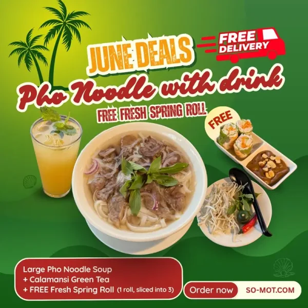 Large Pho Noodle with Drink Free Fresh Spring Roll