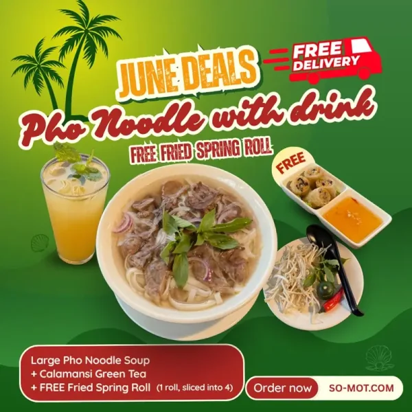 Large Pho Noodle with Drink Free Fried Spring Roll
